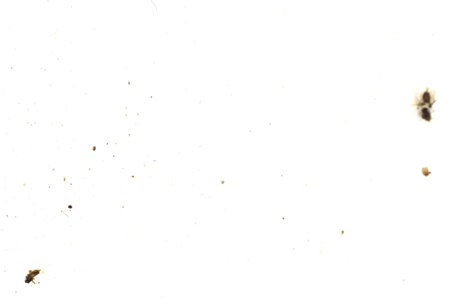 Image 56